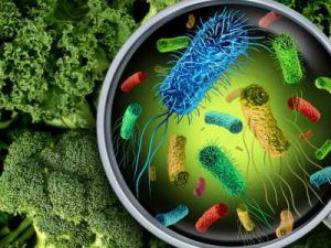food safety ERP solution