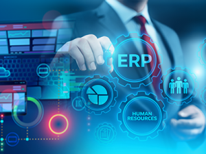 Web based ERP software