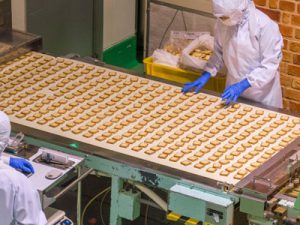 food manufacturing ERP software