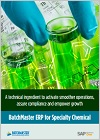 ERP for Specialty Chemical Industry