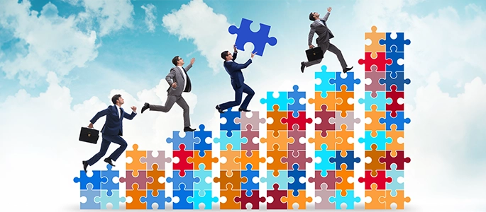 ERP-Implementation