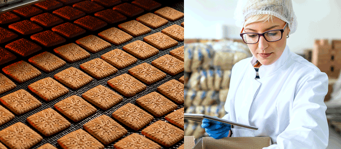 food manufacturing erp software