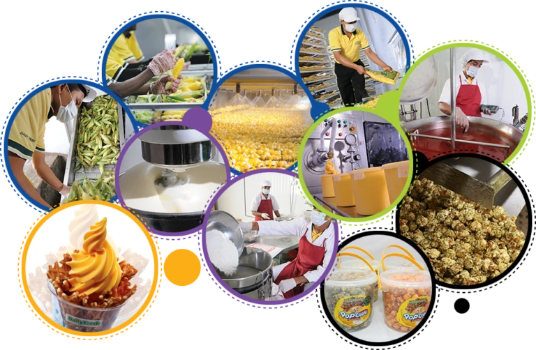 food manufacturing ERP software