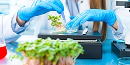 Achieving traceability across from raw materials