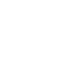 SLA-backed Support