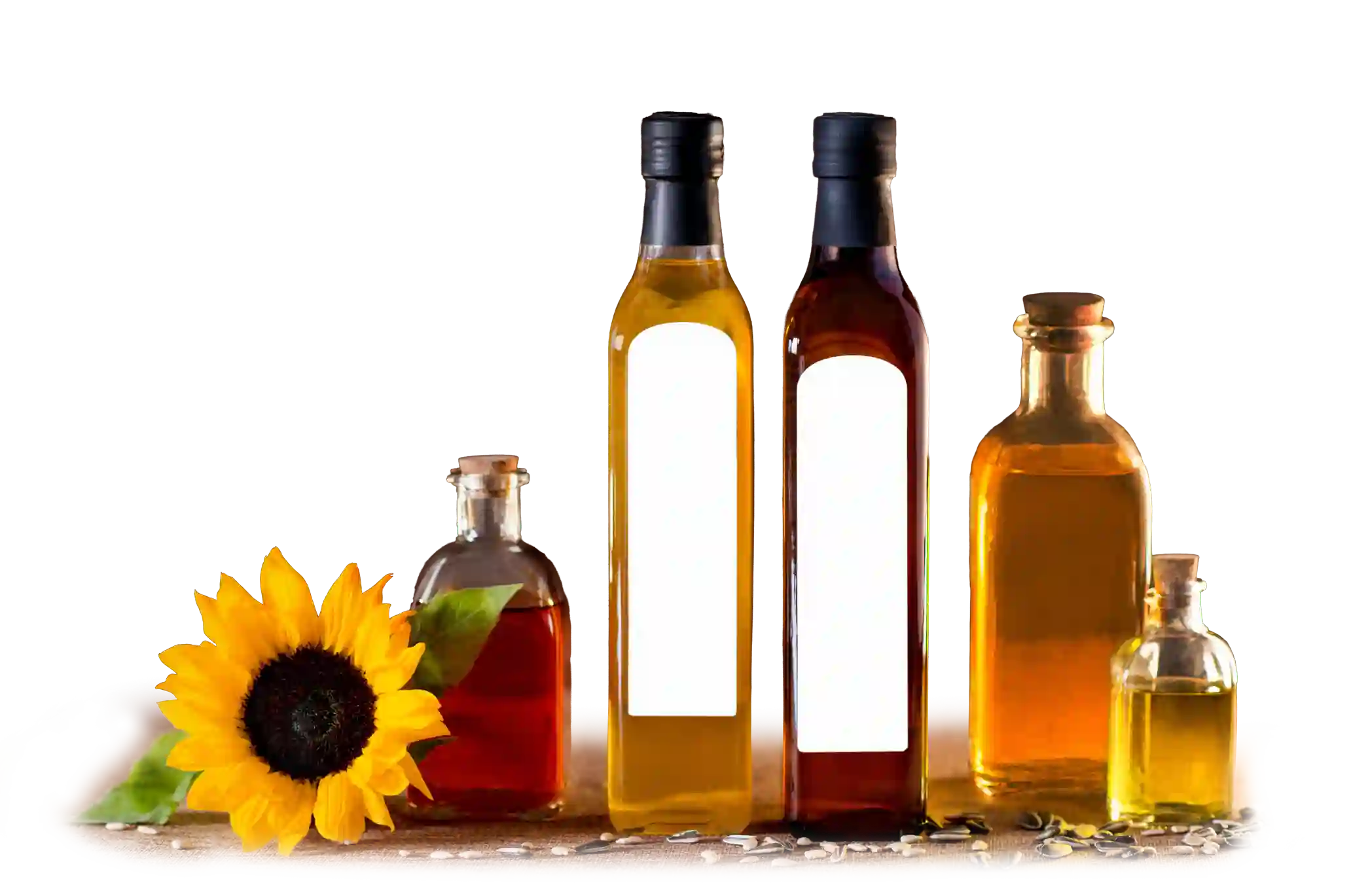 batchmaster-edible-oil-erp