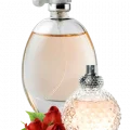 Fragrances-inr Fragrances-inr