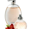 Fragrances-inr Fragrances-inr